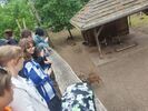 IMG 20250625 110533
